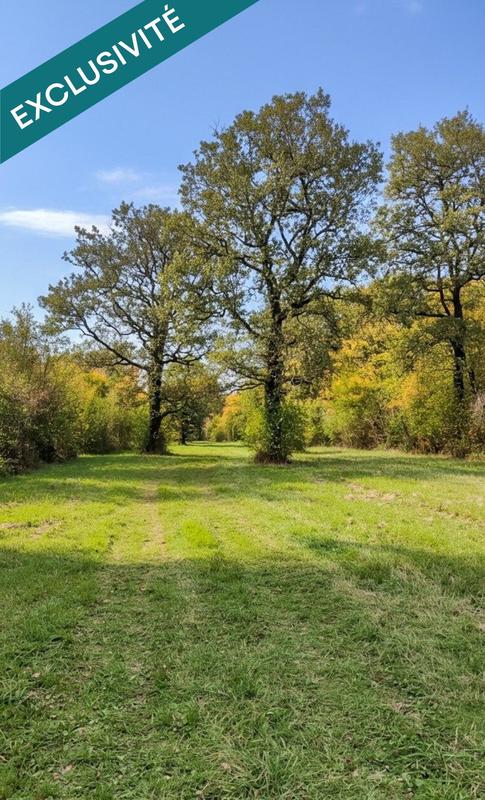 Terrain - 697 767 m²