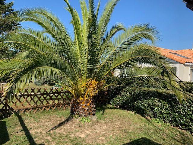 Maison - 129 m² - 4 pièces