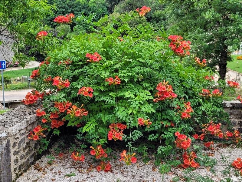 Propriété - 229 m² - 11 pièces