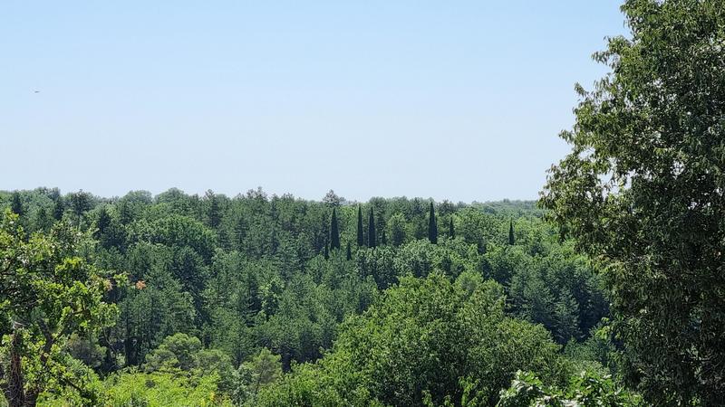 Terrain constructible - 1 000 m²