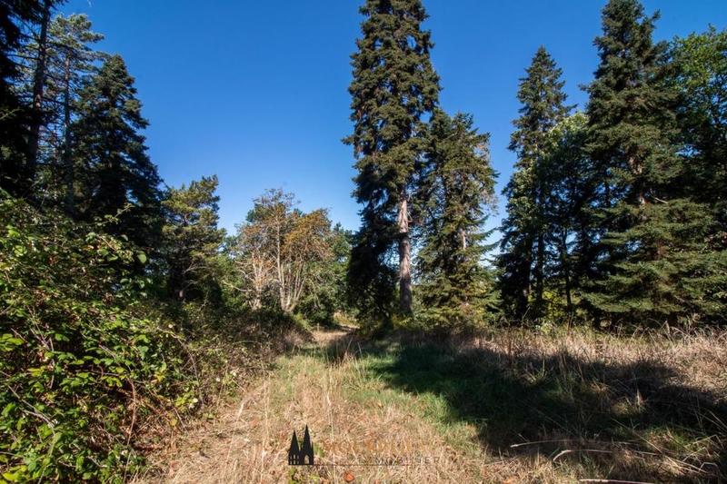 Propriété - 550 m² - 19 pièces