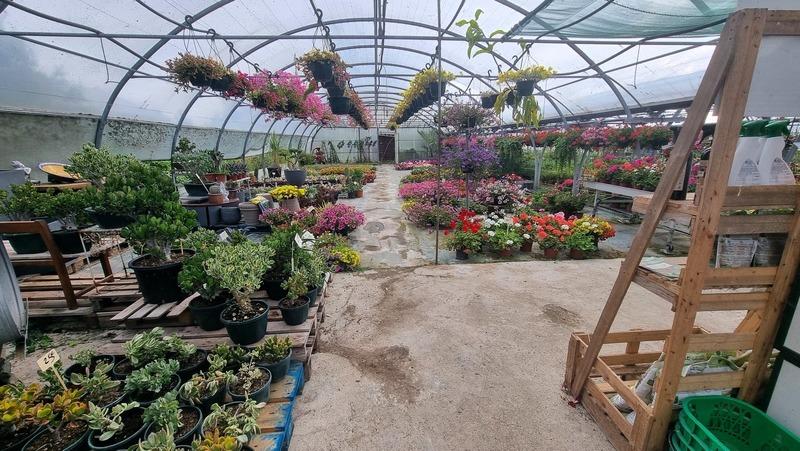 Fonds de commerce - 1 780 m²