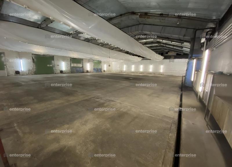 Local d'activité / Entrepôt - 16 000 m²