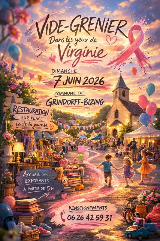 Vide grenier - dans les yeux de virginie