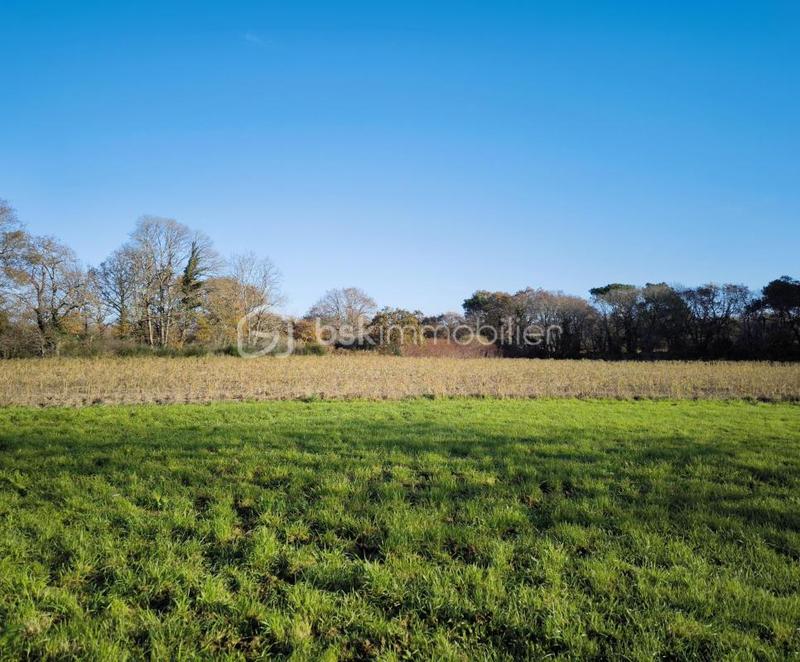 Maison en pierre - 98 m² - 4 pièces