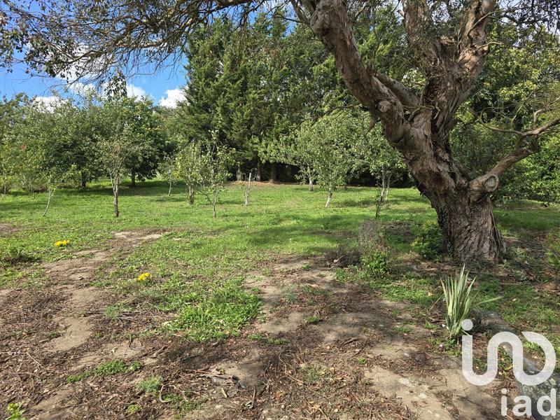 Maison - 193 m² - 5 pièces