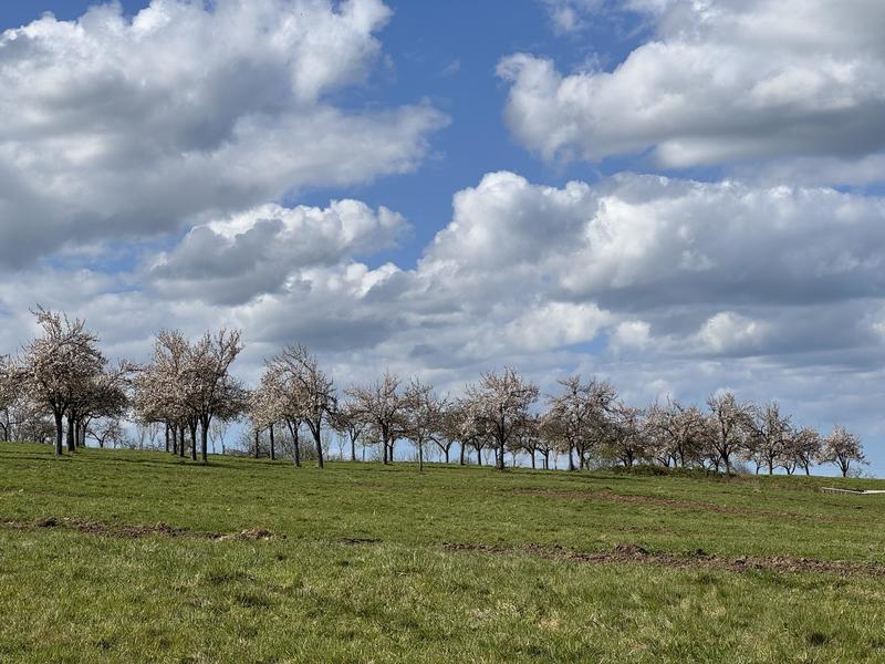 Terrain constructible - 975 m²