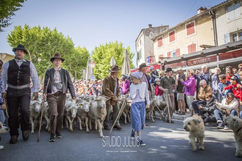 Fête de la Transhumance 2026