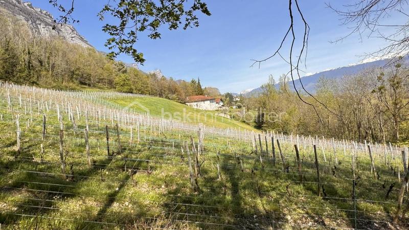 Mas - 473 m² - 12 pièces