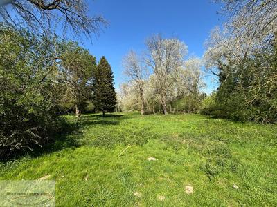 Terrain - 12 000 m²