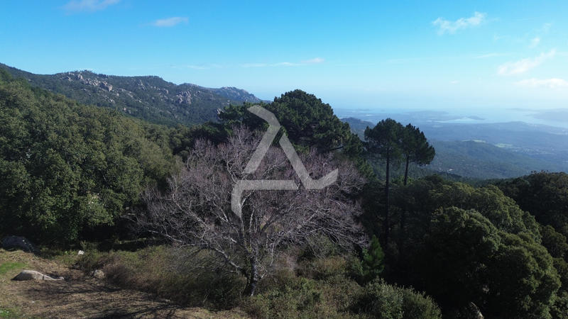 Maison - 134 m² - 8 pièces