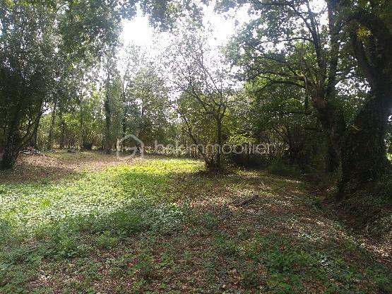 Maison ancienne - 145 m² - 6 pièces