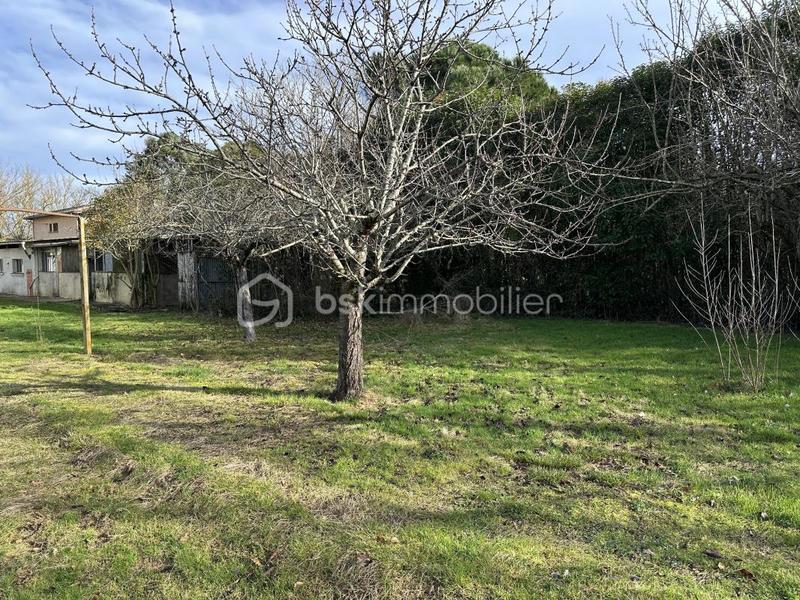 Terrain constructible - 1 150 m²