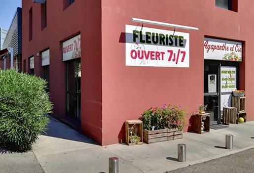 Agapanthe et Compagnie