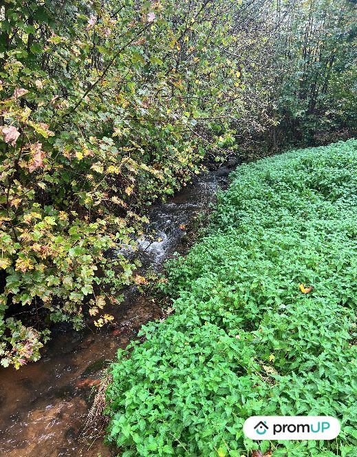 Maison ancienne - 90 m² - 4 pièces