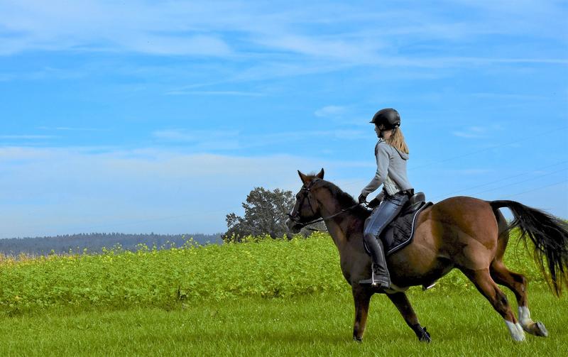Randonnée cheval avec l'Aret