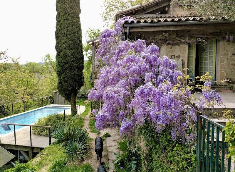 Maison - 305 m² - 14 pièces