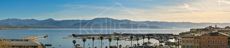 Penthouse - 322 m² - 7 pièces