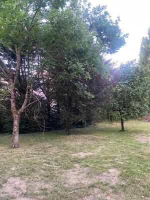 Terrain constructible - 453 m²