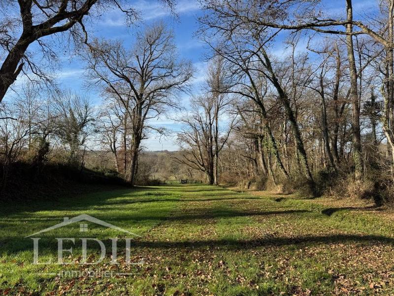 Maison de maîtres - 350 m² - 6 pièces