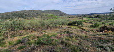 Terrain de loisirs - 20 600 m²