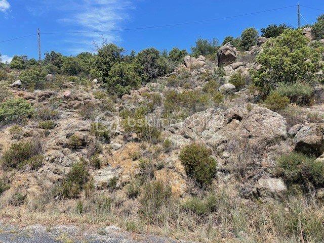 Terrain agricole - 2 533 m²