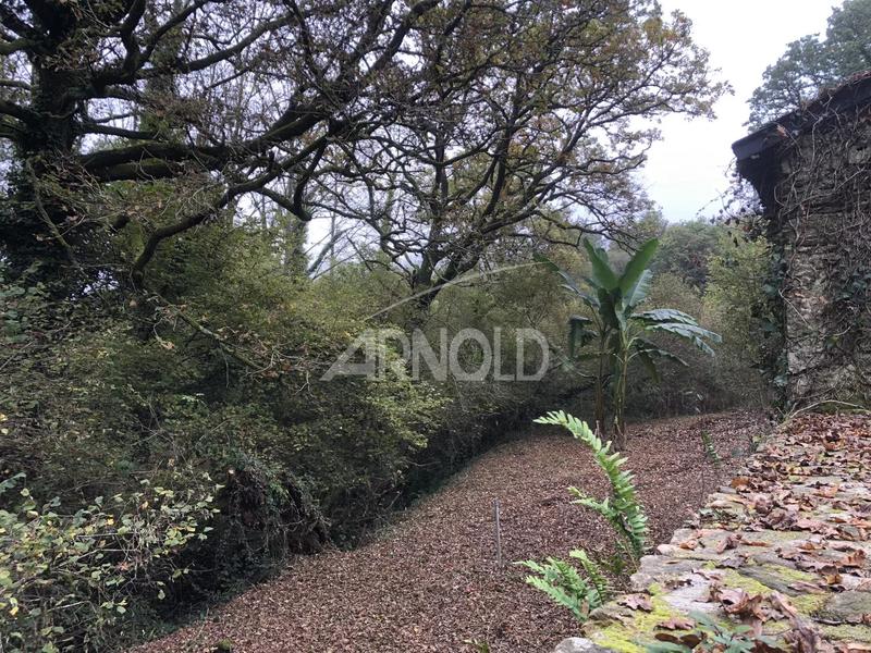 Moulin - 250 m² - 5 pièces