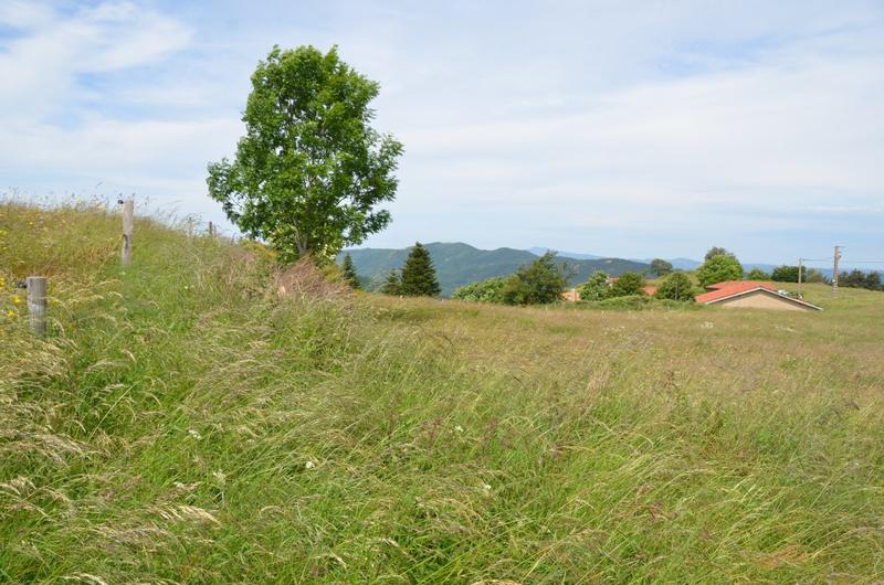 Ferme - 100 m² - 5 pièces