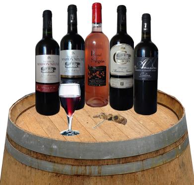 Vignoble Domaine Maison Neuve