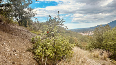 Terrain agricole - 6 500 m²