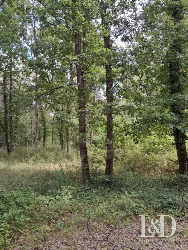 Terrain de loisirs - 11 186 m²