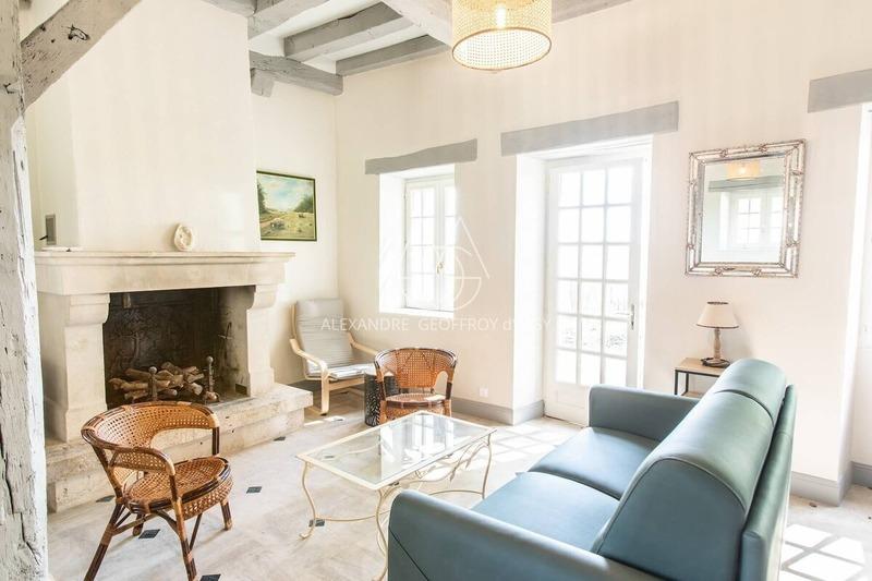 Château - 1 500 m² - 30 pièces