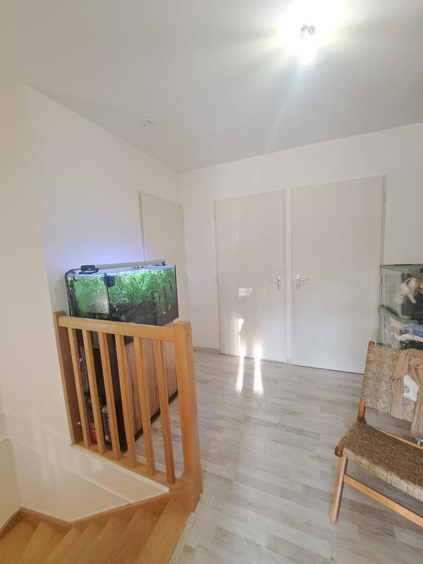 Appartement - 55 m² - 2 pièces