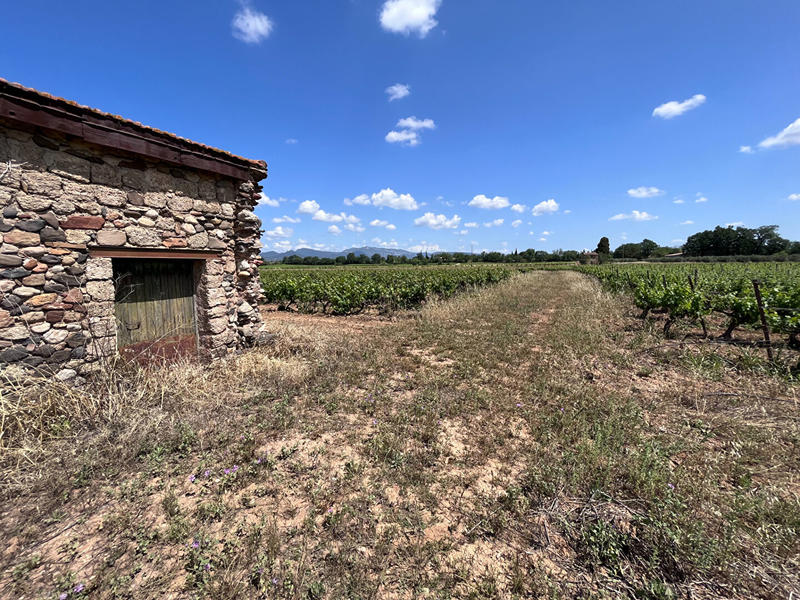 Terrain agricole - 400 m²