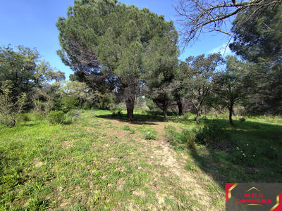 Terrain agricole - 7 855 m²