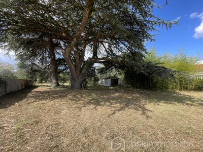 Terrain constructible - 1 848 m²
