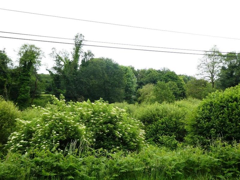 Terrain agricole - 28 430 m²