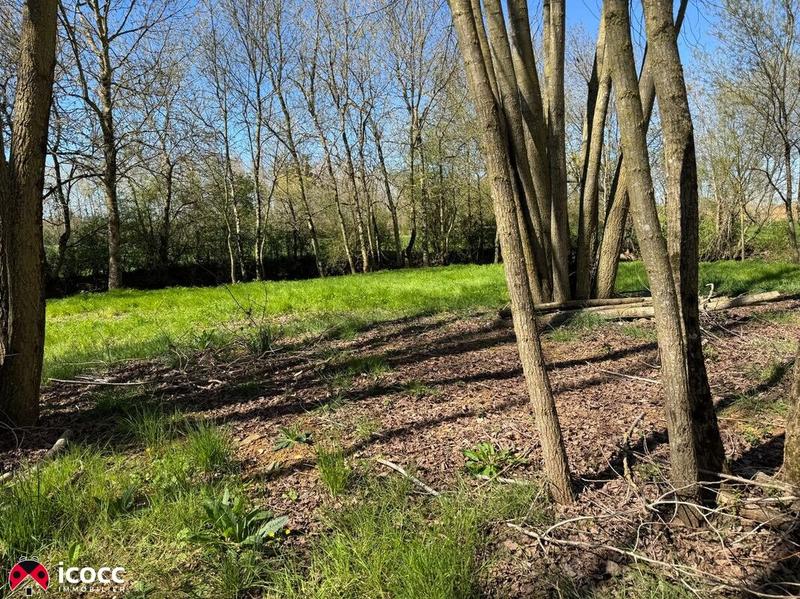 Terrain de loisirs - 3 255 m²