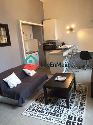 Studio - 24 m² - 1 pièce