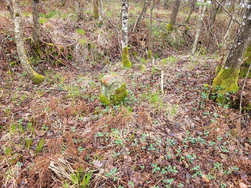 Étang - 142 558 m²