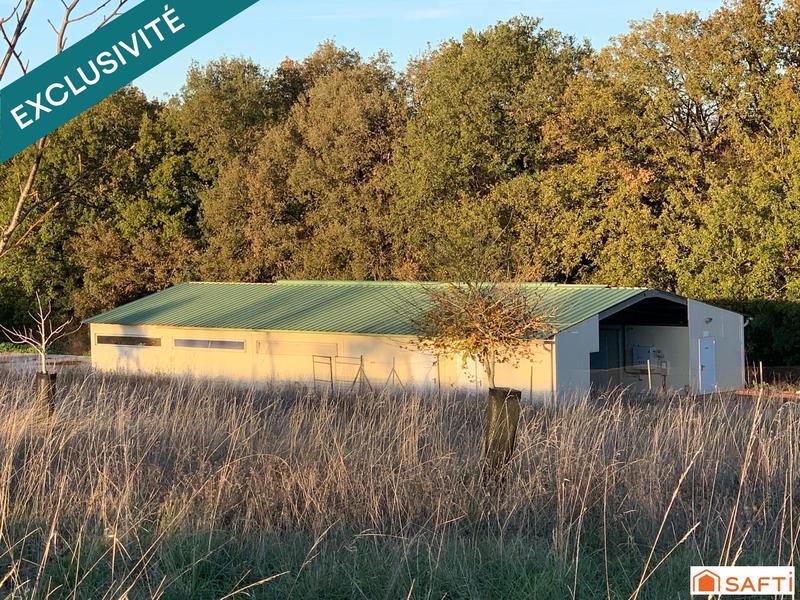 Terrain - 24 151 m²