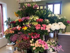 Histoires Naturelles