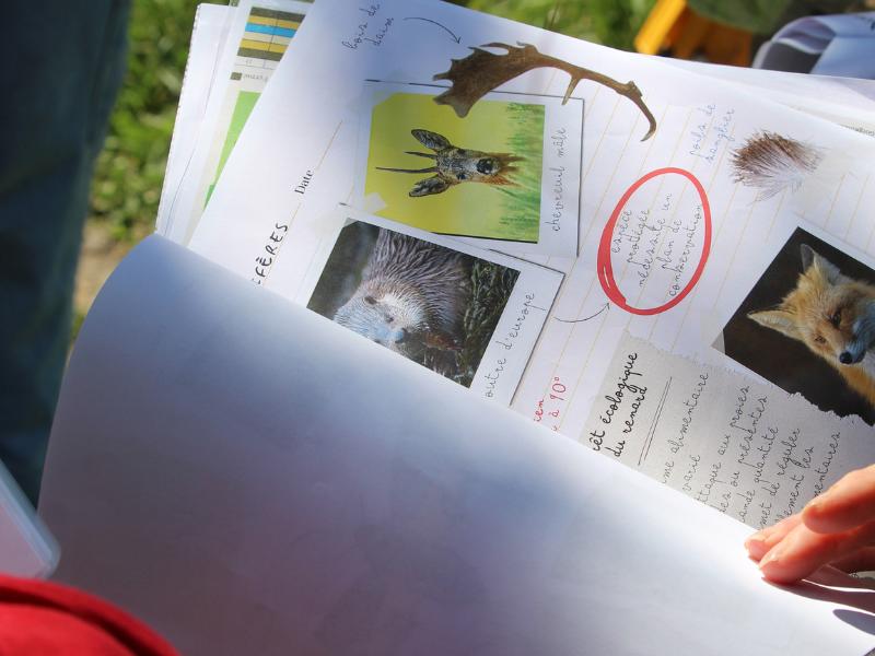 Escape game nature à Terres d'Oiseaux