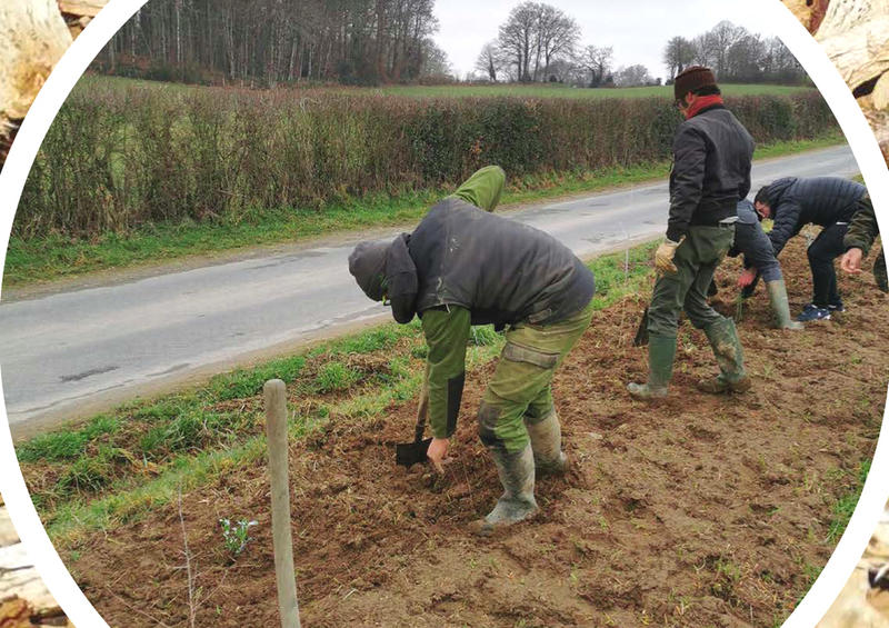 Chantier participatif à la  plantation d'une haie
