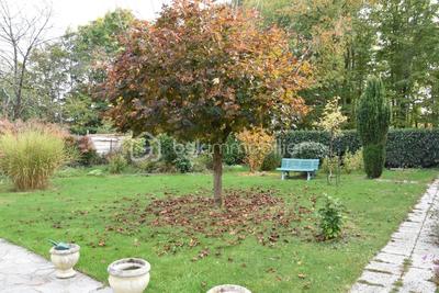 Maison - 127 m² - 7 pièces