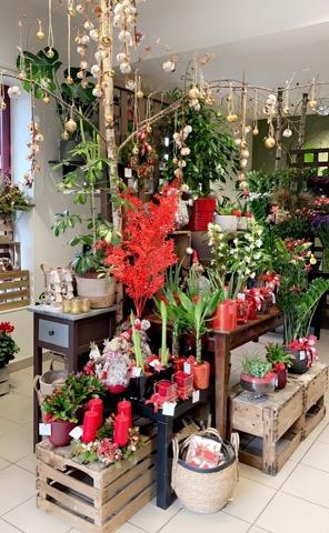 Histoires Naturelles