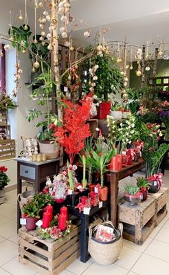 Histoires Naturelles