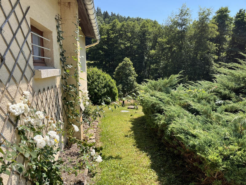 Viager - Maison - 136 m² - 7 pièces
