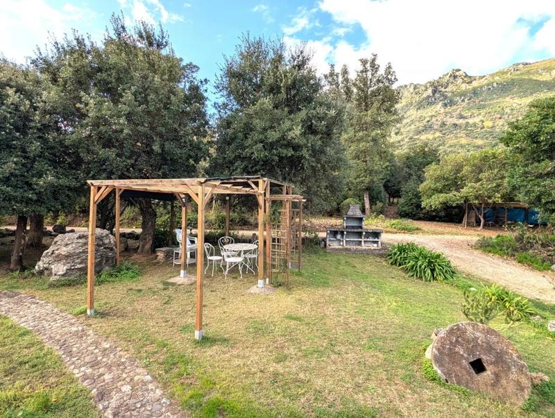 Propriété - 219 m² - 7 pièces