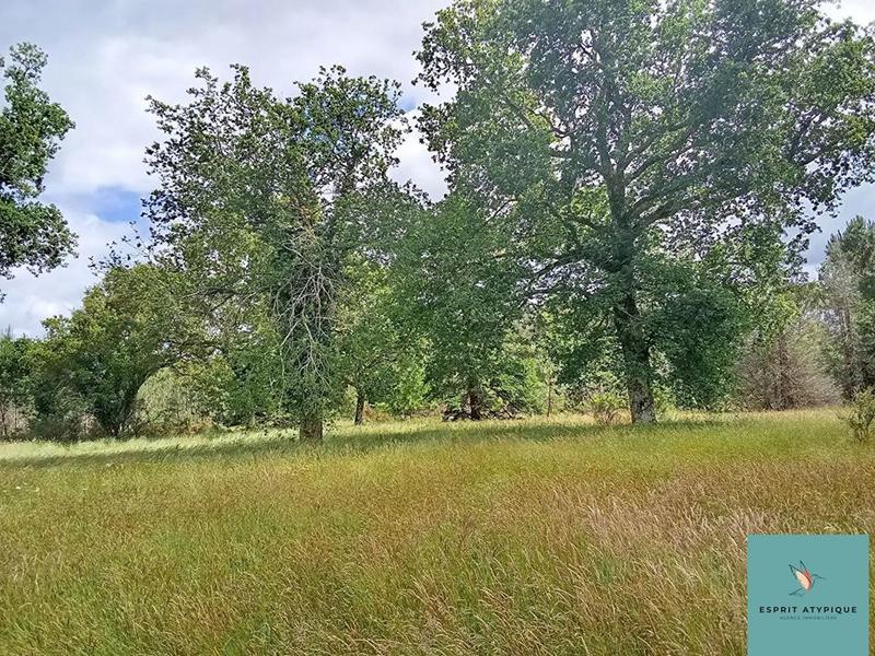 Maison traditionnelle - 195 m² - 11 pièces